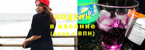 индика Володарск