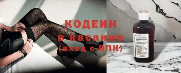 индика Володарск