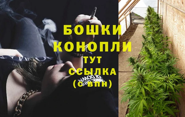 индика Володарск