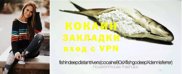 индика Володарск