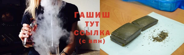 индика Володарск