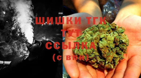 индика Володарск