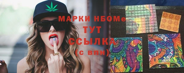 индика Володарск